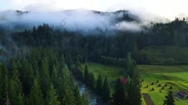 山上多雨的天气.云雾吹过松树林.多雾的日子里,山上云杉林的空中摄像.美丽的秋天森林里的晨雾.